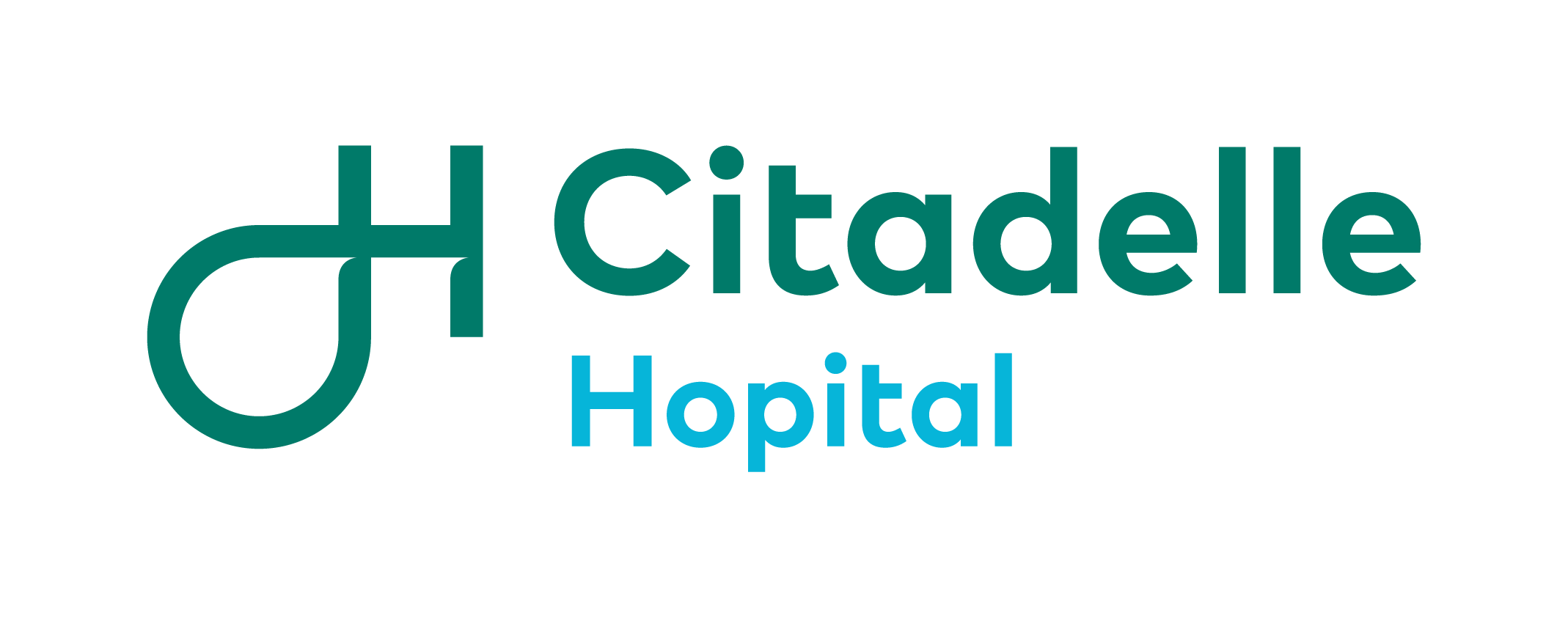 Citadelle-Hopital_Logo-H_RVB_Synthese